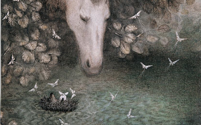 Hedgehog in the water and Horse