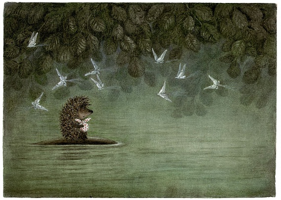 Hedgehog on Fish and Butterflies