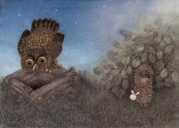 Hedgehog and owl on the well