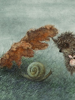 Hedgehog with leaves and snail